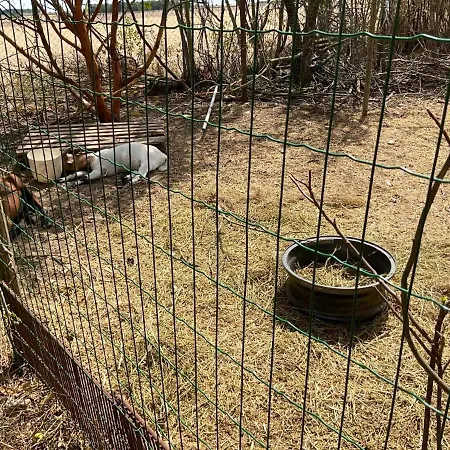 Maison De Charme Avec Cheminee Et Jardin A Prázdninový dům *